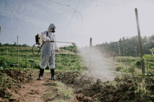 Best Local Pest Control Services  in Kalkaska, MI
