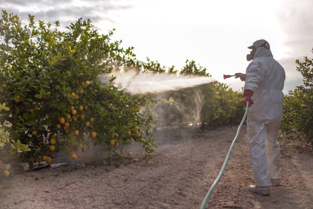 Best Pest Control for Homes  in Kalkaska, MI