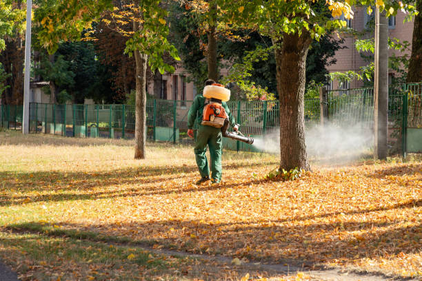 Best Wasp Removal Services  in Kalkaska, MI